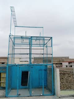 Pigeon Cage for Sale _ Good Condition