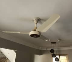 Sonex 56 Inch Fan Copper