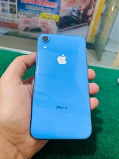 iPhone XR 64 GB pta approved