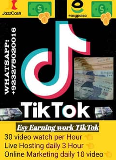 tiktok earning work