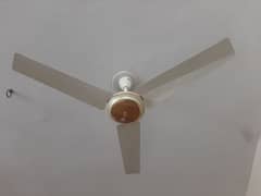 03 GFC ceiling Fans for Sale