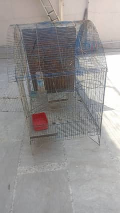 Cage for Sale - پنجرہ