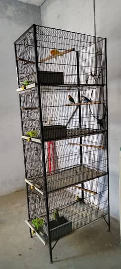 cage for birds like new