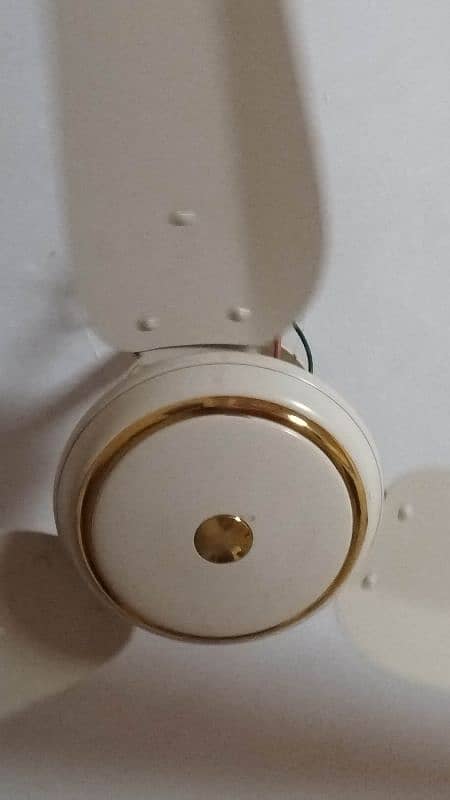 SK Ceiling Fan 0