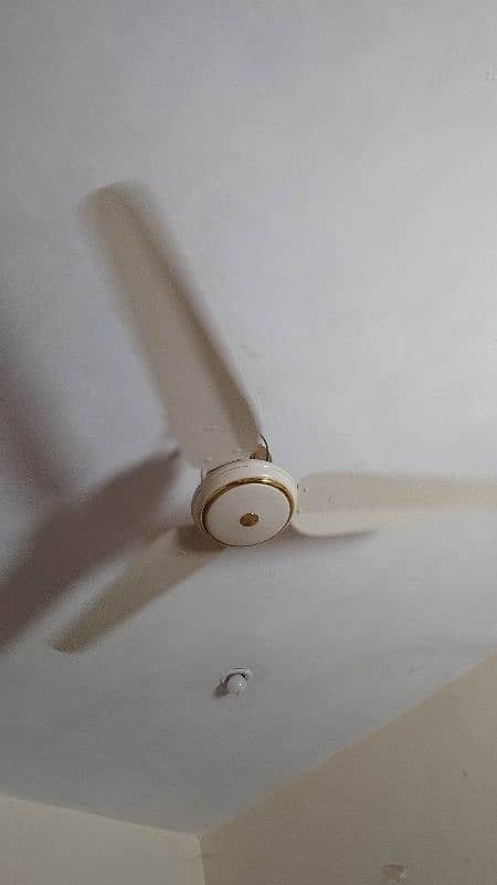 SK Ceiling Fan 1