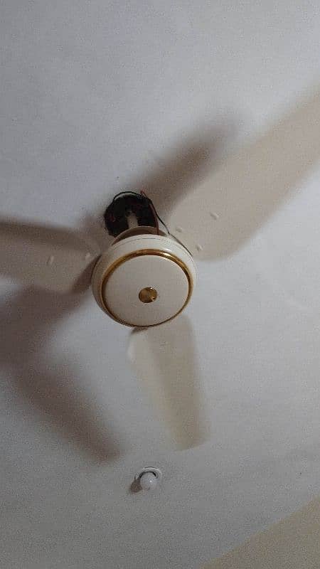 SK Ceiling Fan 2