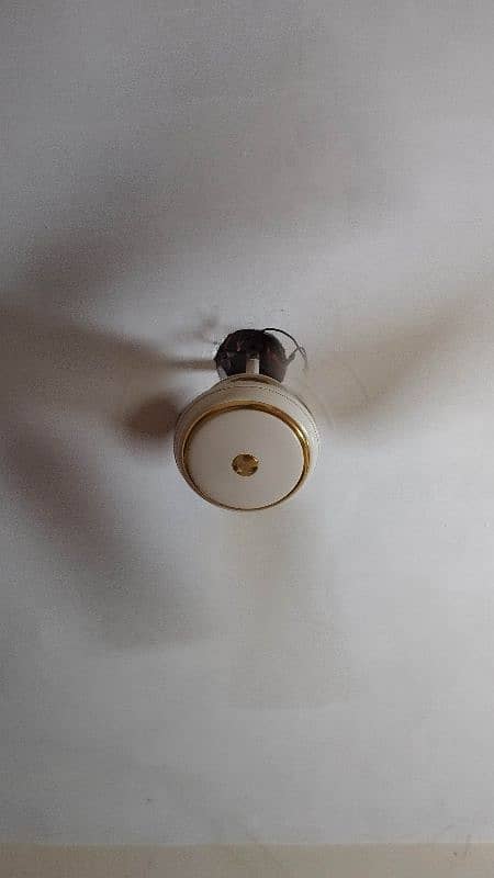 SK Ceiling Fan 3