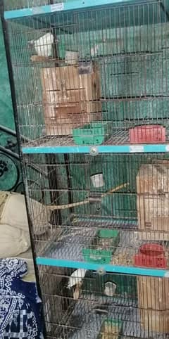 4 portion Cage used size 2 x 1.5 x1.5 x 1.5 with