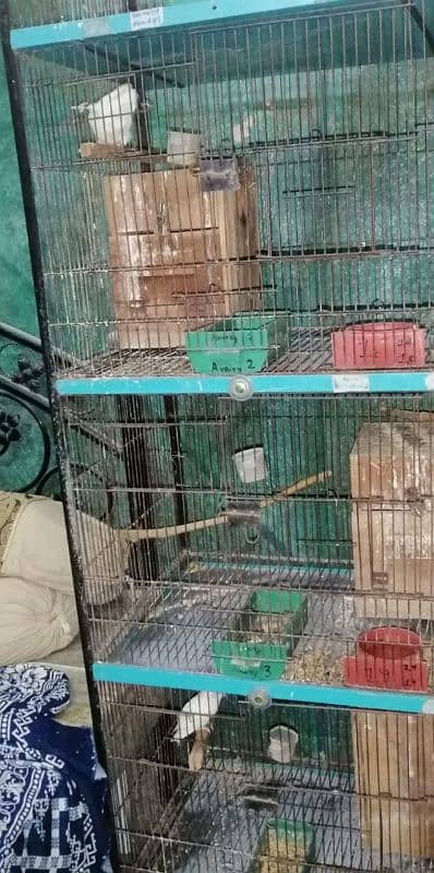 4 portion Cage size 2 x 1.5 x1.5 x 1.5 with 0