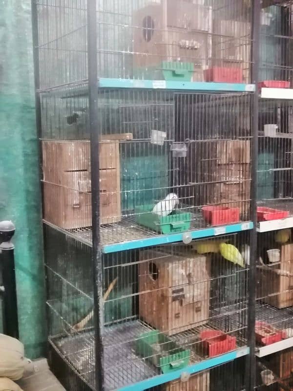 4 portion Cage size 2 x 1.5 x1.5 x 1.5 with 1
