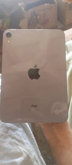 i pad mini 6