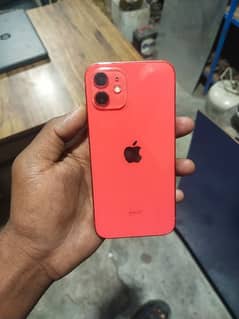 I phone 12 red colur