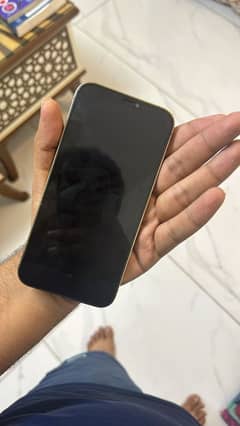 Iphone 12 pro max pta