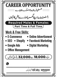 we need male and female staff for office work