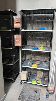 bird cages