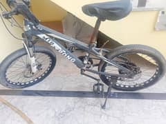 Mountain gear bike