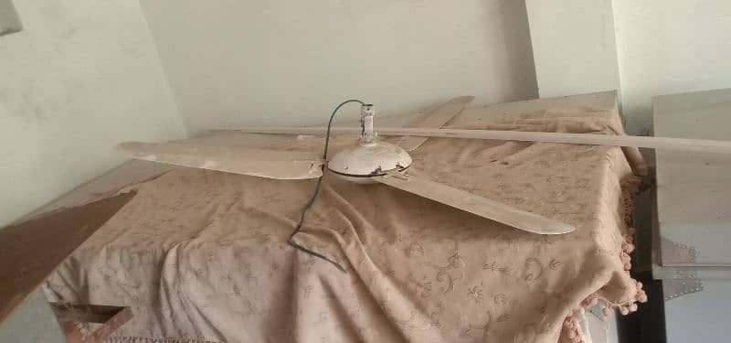 4 x Ceiling fan 1