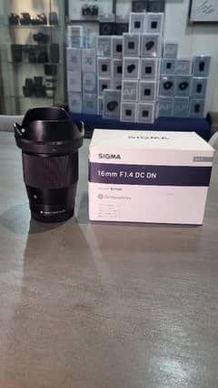 sigma lense