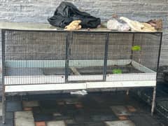 good size cage