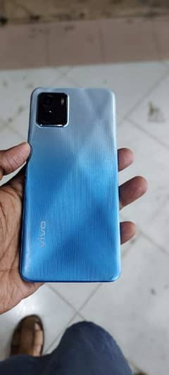 vivo