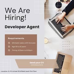 Developer Agents