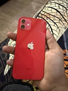 iphone 12 dual pta