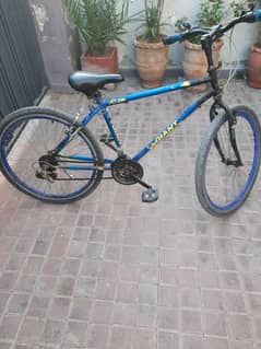 Cycle For Sale