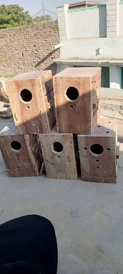 lovebirds breeding boxes