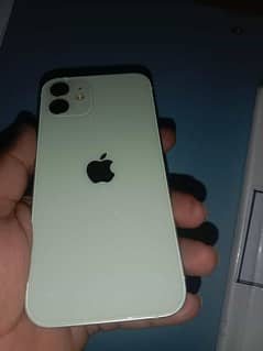 iPhone 12 256 Gb