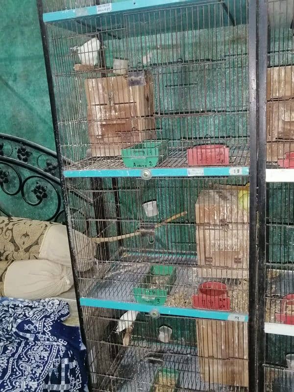4 portion Cage  used size 2 x 1.5 x1.5 x 1.5 0