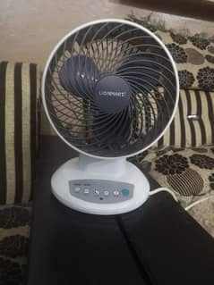 Lionmart Fan