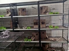 cages for sale