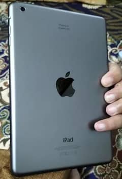 Apple iPad