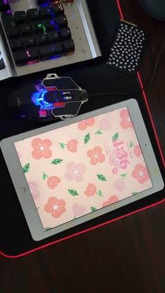 iPad