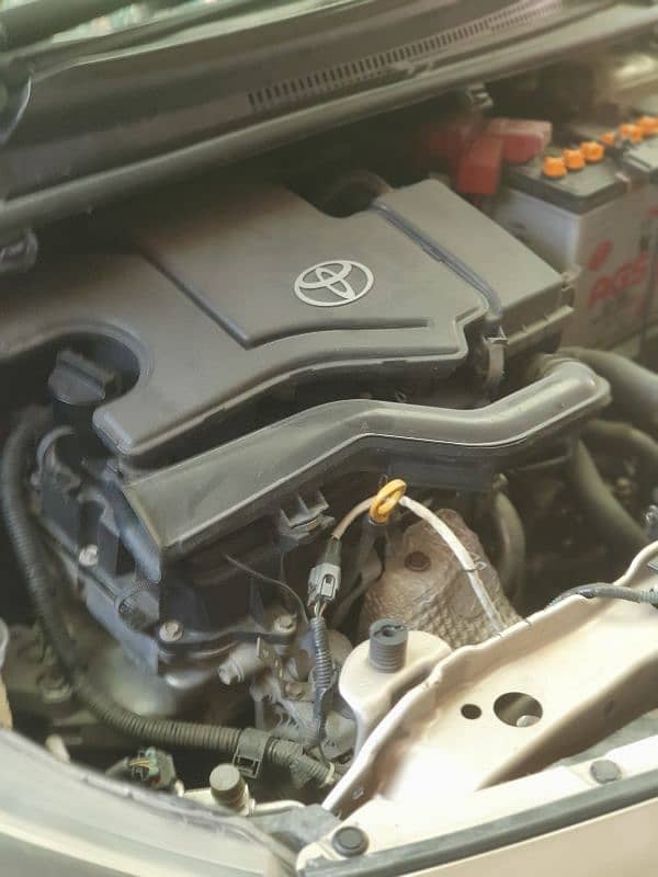 Vitz spider 2014/ 2017 6