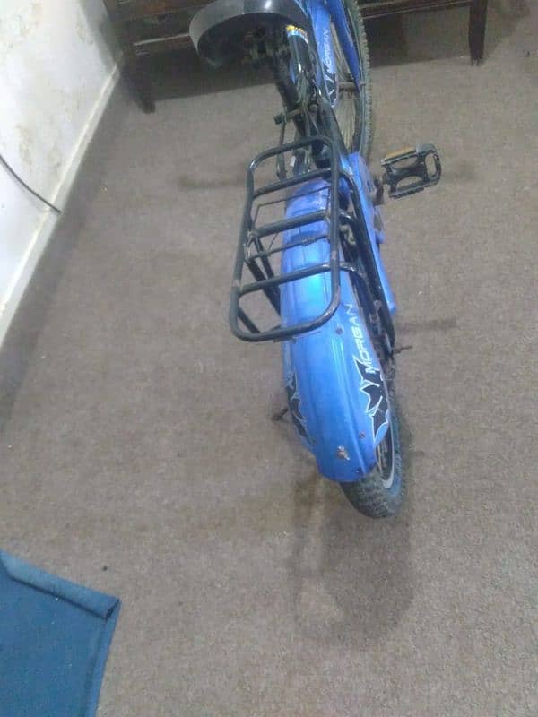 Morgan Cycle 2