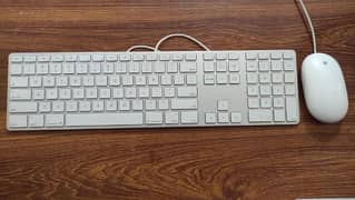 Original Mac keyboard and mouse combo