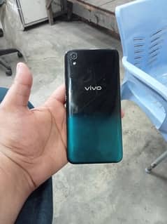 vivo