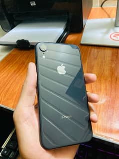 iphone xr non pta jv 64 gb