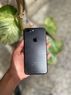 iphone 7 plus pta approved 256gb