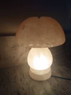 Handmade Himalayan Salt lamp-Mushroom design