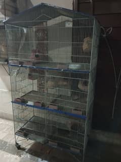 5 portion cage with wheels for birds.