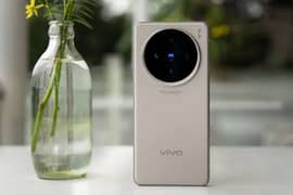 Vivo X100s Camera Beast (Titanium)