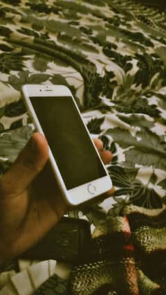 iphone 6 white