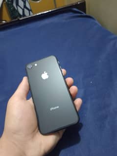 iphone 8