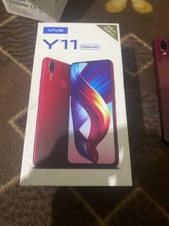 vivo y11 . . PTA approved. .