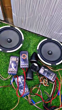 focal