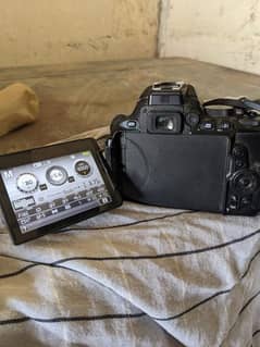 Nikon  D5600 for sale