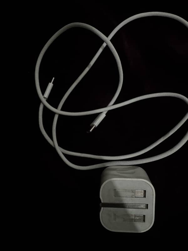 iPhone Type C original charger 0