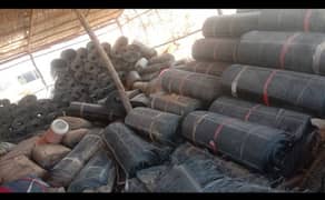 Geogrid for sale